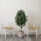 4.5ft. Artificial Ficus Tree with Double Trunk in Handmade Cotton &#x26; Jute Basket